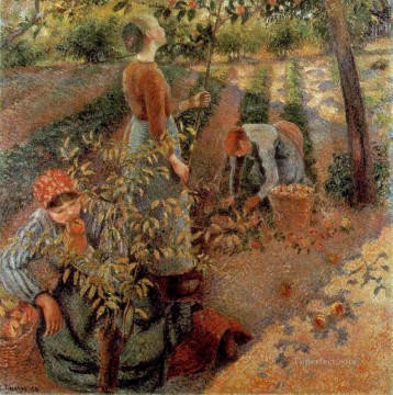  1886 Art Painting - the apple pickers 1886 Camille Pissarro